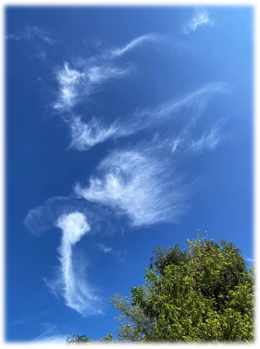 Chrysalis wolken